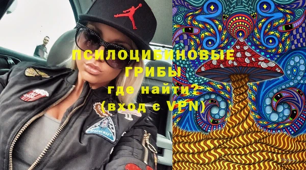 винт Инсар