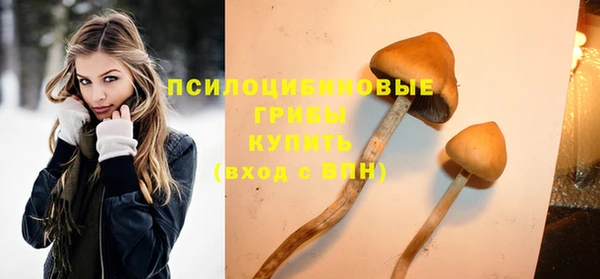 индика Армянск