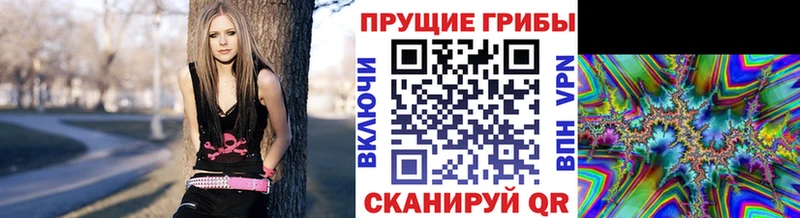Псилоцибиновые грибы прущие грибы  Тимашёвск 